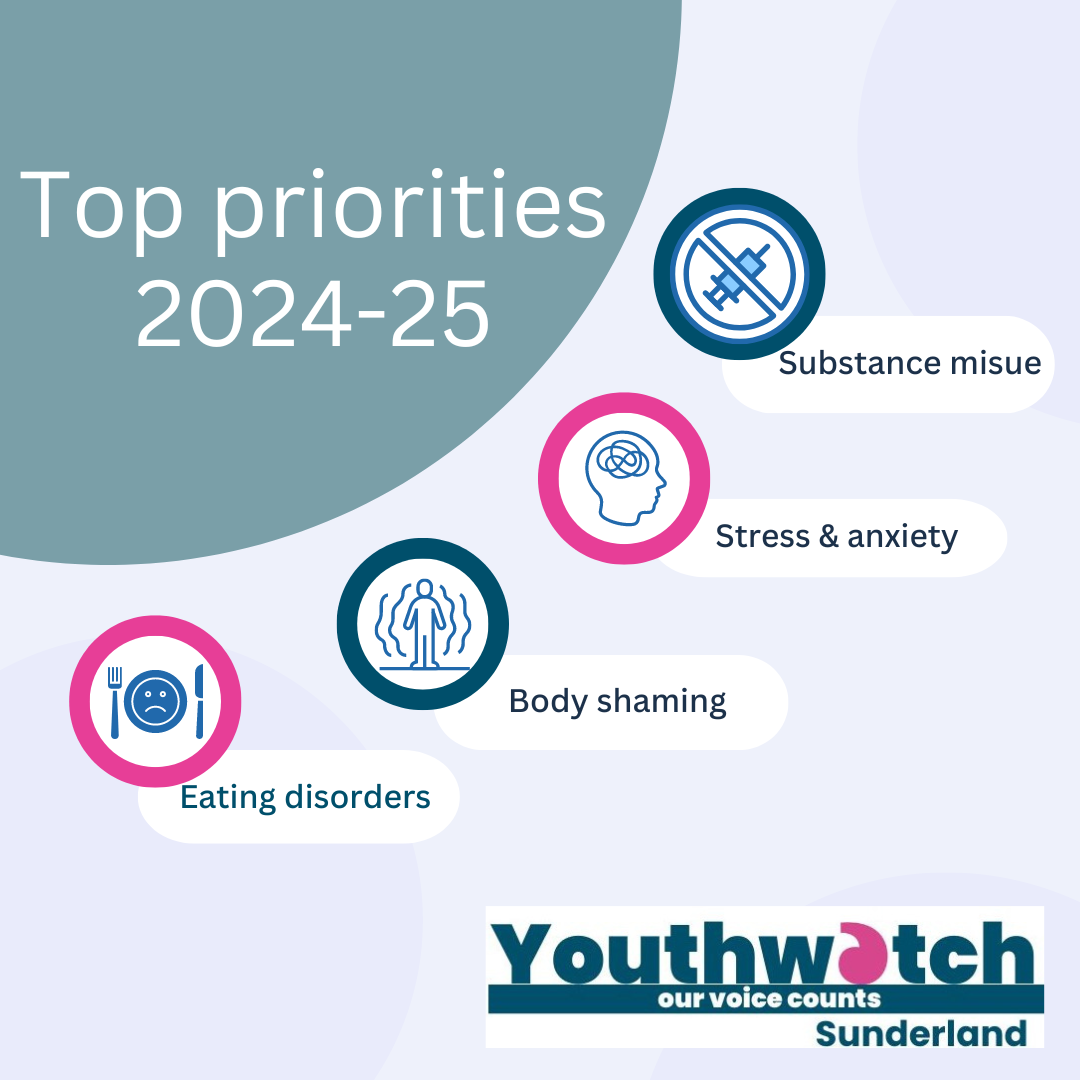 youthwatch priorities 2024