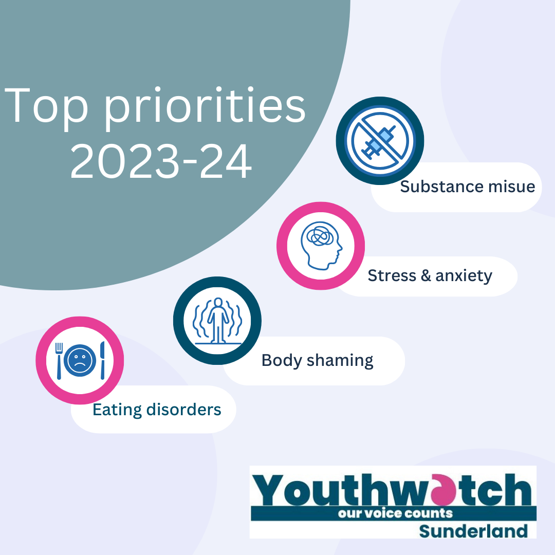 Youthwatch priorities