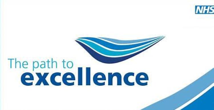 Path to excellence logo