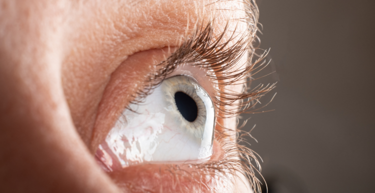 Close up image of a person's eye