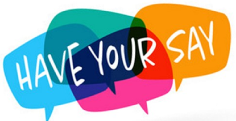 Graphic image of Have Your Say