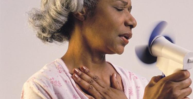 A lady holding a fan to her face