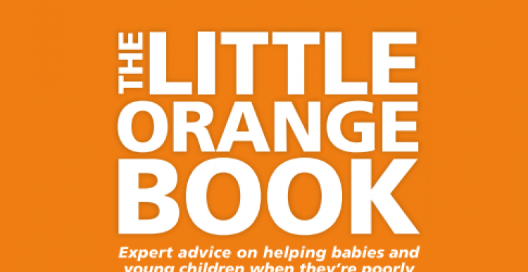 Front cover of The Little Orange Book