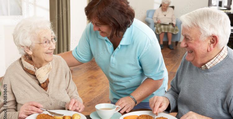 Senior couple being served a meal by carer