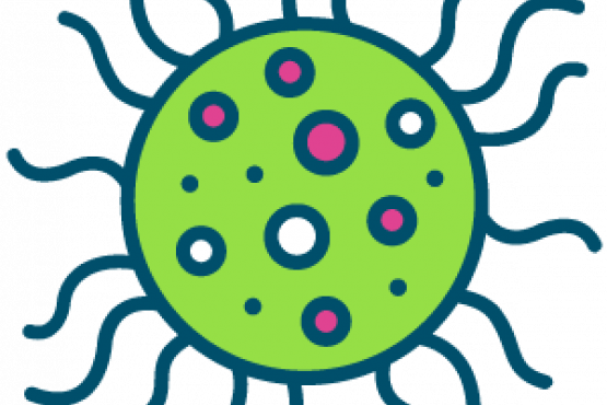 Healthwatch COVID 19 icon Healthwatch COVID 19 icon